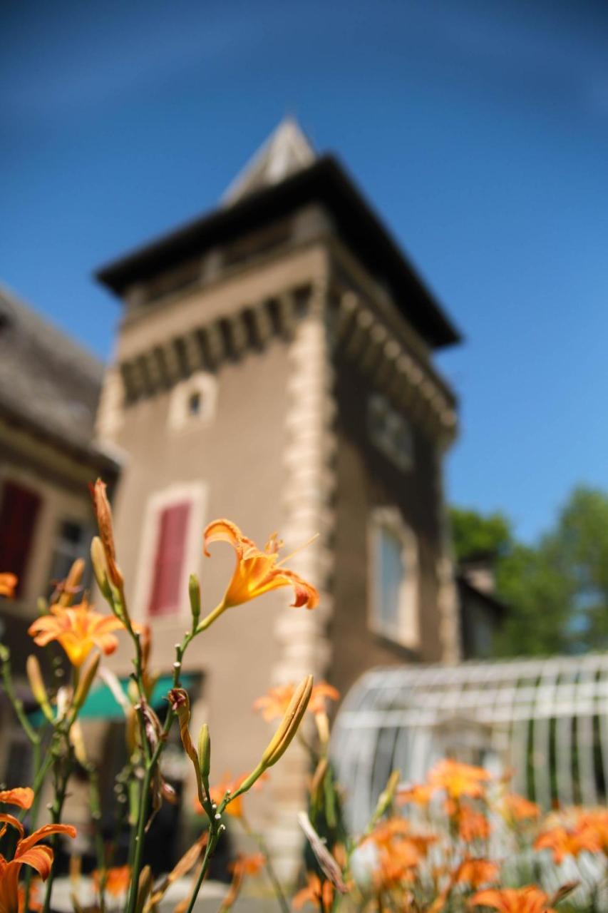 Chambres d'Hôtes Château de Viviez Ngoại thất bức ảnh